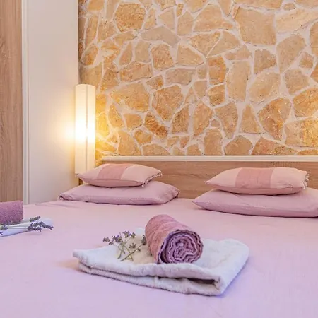 Cvit Od Kamena Sibenik